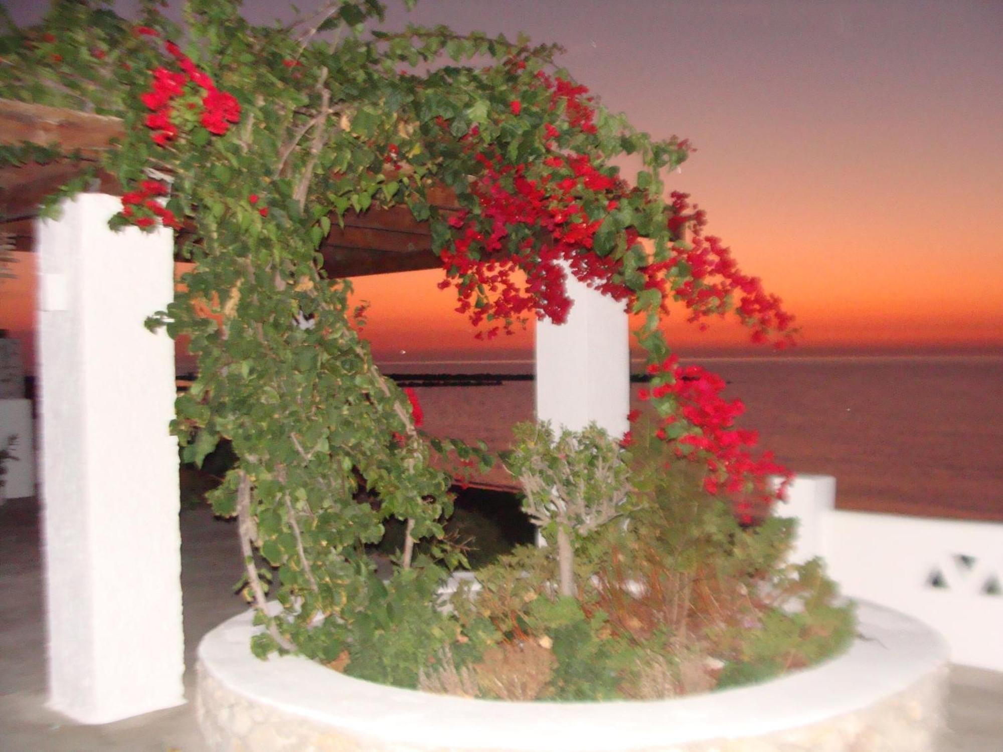 Apartmán Παραθιν Αλοσ 2 Skyros Exteriér fotografie